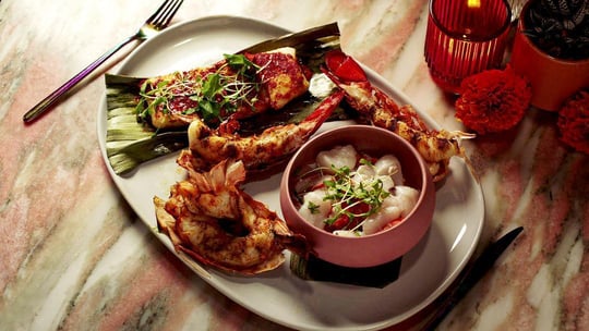 IMG-SCL-2022-karma-chameleon-pink-agave-food-frame_17136-UNCROPPED